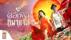 Jazz The Dog ดอกฟ้า หมาแจ๊ส (2017)