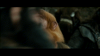 The Hobbit The Desolation of Smaug (2013) เดอะ ฮอบบิท ดินแดนเปลี่ยวร้างของสม็อค